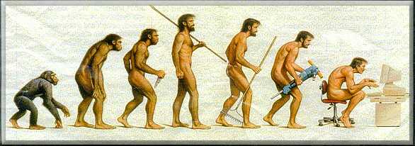 Man's evolution